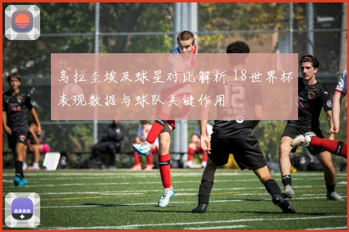 乌拉圭埃及球星对比解析 18世界杯表现数据与球队关键作用